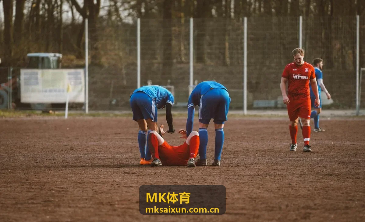 MK体育综合格斗赛事报道
